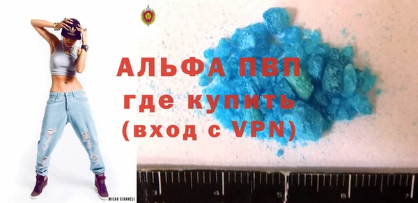 СК Алексин