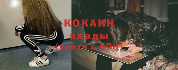 СК Алексин