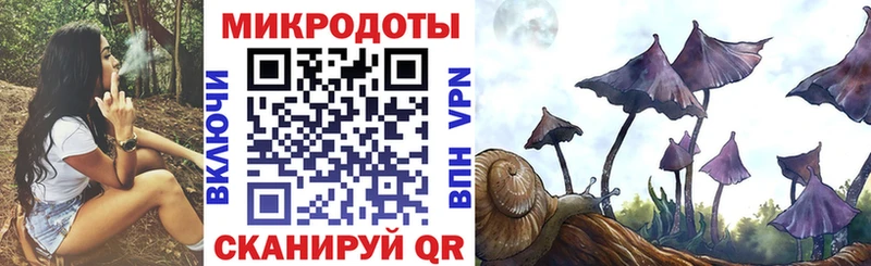 Галлюциногенные грибы Psilocybine cubensis Талица