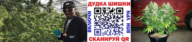 Бошки марихуана планчик  цена   kraken ссылки  Талица 